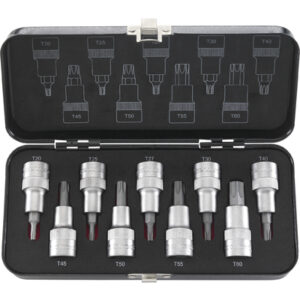 Hylssats Format 1/2 Torx