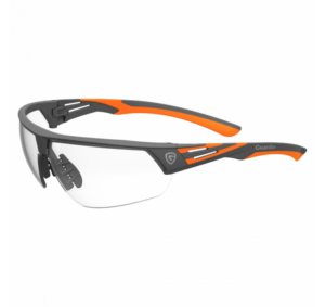 ARGOS Safety glasses Clear skyddsglasögon klara