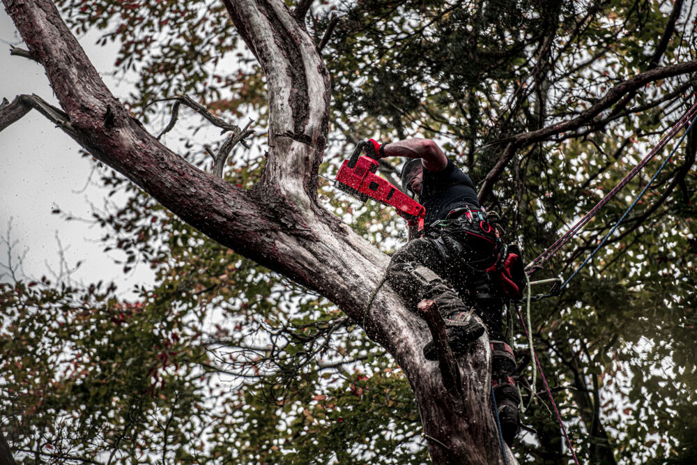 Milwaukee Motorsåg M18 FCHS-122